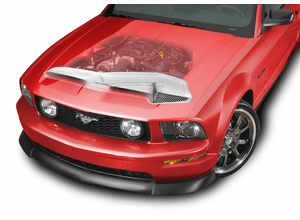 05-09 Mustang Stalker Ram Air Kit